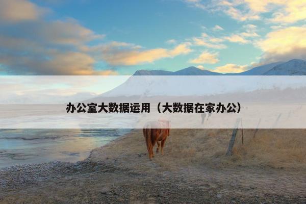 办公室大数据运用（大数据在家办公）