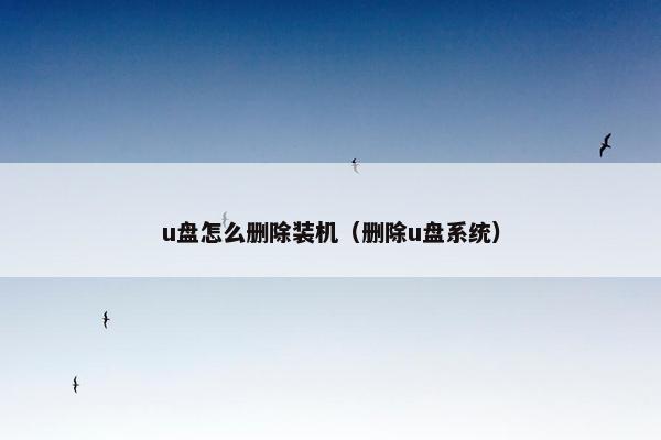 u盘怎么删除装机（删除u盘系统）
