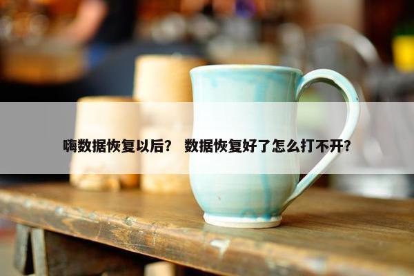 嗨数据恢复以后？ 数据恢复好了怎么打不开？