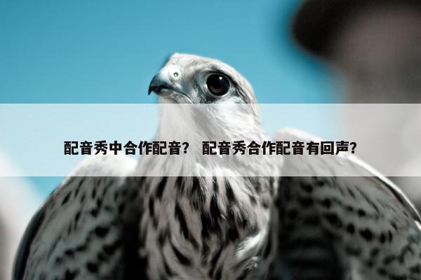 配音秀中合作配音？ 配音秀合作配音有回声？