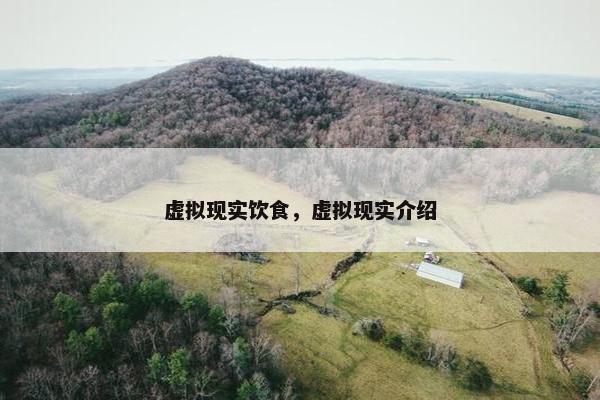 虚拟现实饮食，虚拟现实介绍