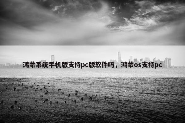 鸿蒙系统手机版支持pc版软件吗，鸿蒙os支持pc