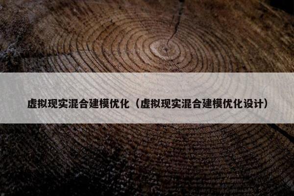 虚拟现实混合建模优化（虚拟现实混合建模优化设计）