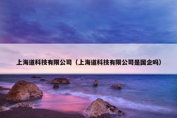 上海道科技有限公司（上海道科技有限公司是国企吗）