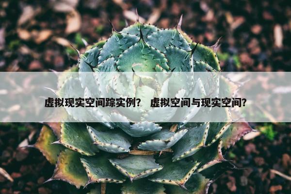 虚拟现实空间踪实例？ 虚拟空间与现实空间？