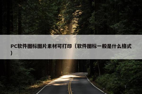 PC软件图标图片素材可打印（软件图标一般是什么格式）