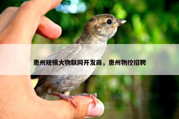 惠州规模大物联网开发商，惠州物控招聘