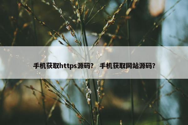 手机获取https源码？ 手机获取网站源码？