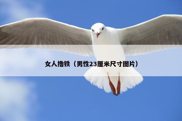 女人撸铁（男性23厘米尺寸图片）