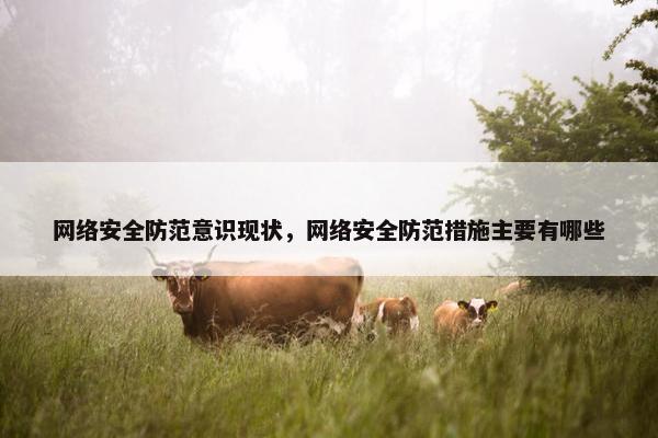 网络安全防范意识现状，网络安全防范措施主要有哪些