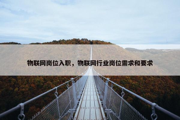 物联网岗位入职，物联网行业岗位需求和要求