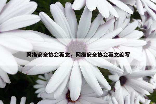 网络安全协会英文，网络安全协会英文缩写