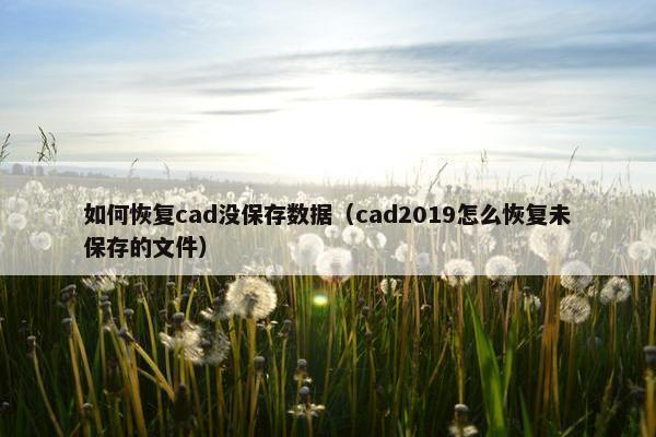 如何恢复cad没保存数据（cad2019怎么恢复未保存的文件）