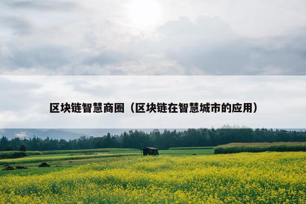 区块链智慧商圈（区块链在智慧城市的应用）