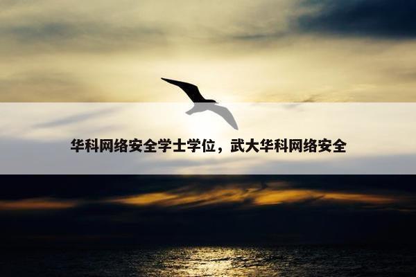 华科网络安全学士学位，武大华科网络安全