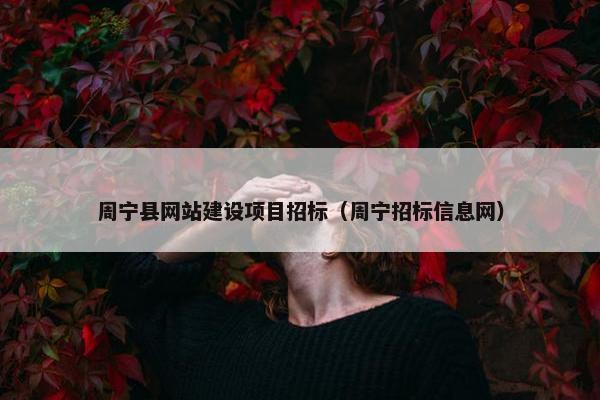 周宁县网站建设项目招标（周宁招标信息网）