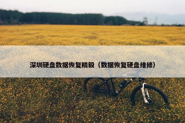 深圳硬盘数据恢复精毅（数据恢复硬盘维修）