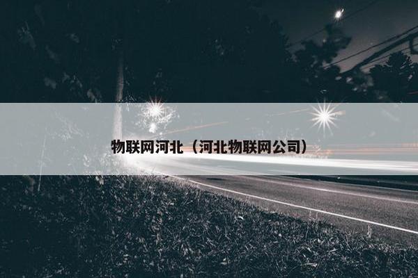 物联网河北（河北物联网公司）