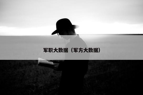 军职大数据（军方大数据）