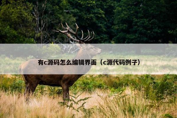 有c源码怎么编辑界面（c源代码例子）
