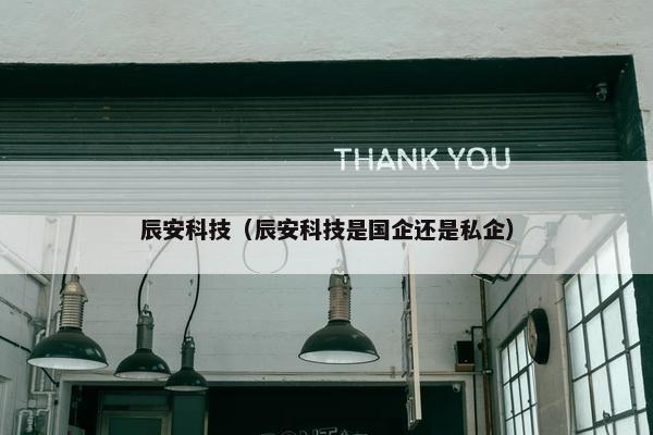 辰安科技（辰安科技是国企还是私企）