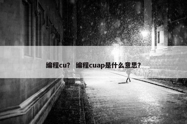 编程cu？ 编程cuap是什么意思？