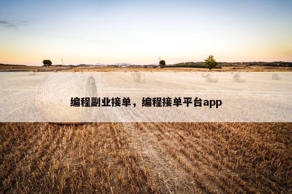 编程副业接单，编程接单平台app