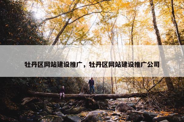 牡丹区网站建设推广，牡丹区网站建设推广公司