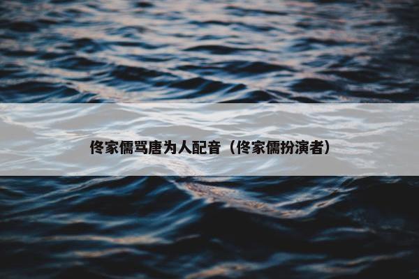 佟家儒骂唐为人配音（佟家儒扮演者）