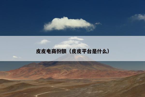 皮皮电商份额（皮皮平台是什么）