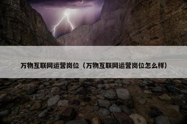 万物互联网运营岗位（万物互联网运营岗位怎么样）
