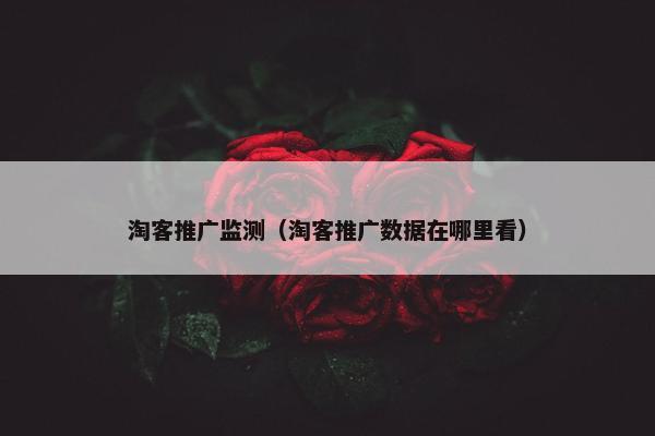 淘客推广监测（淘客推广数据在哪里看）