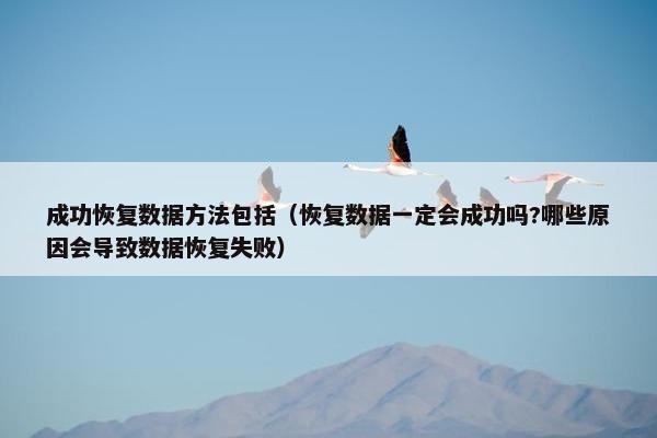 成功恢复数据方法包括（恢复数据一定会成功吗?哪些原因会导致数据恢复失败）
