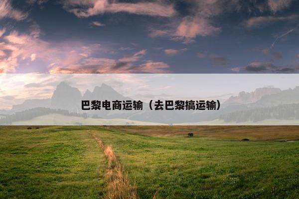 巴黎电商运输（去巴黎搞运输）