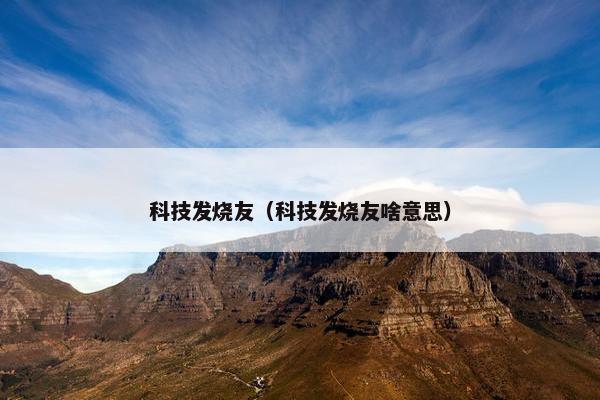 科技发烧友（科技发烧友啥意思）