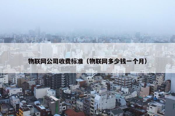 物联网公司收费标准（物联网多少钱一个月）