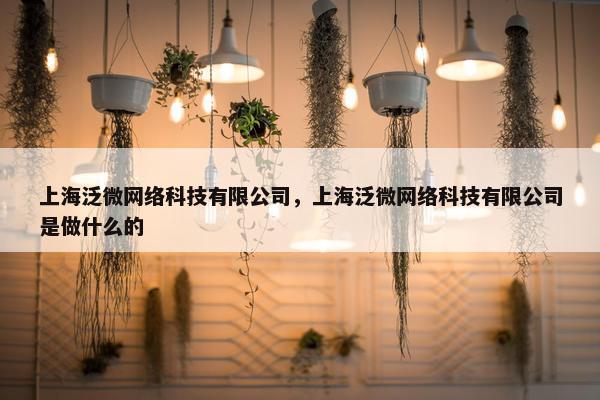 上海泛微网络科技有限公司，上海泛微网络科技有限公司是做什么的