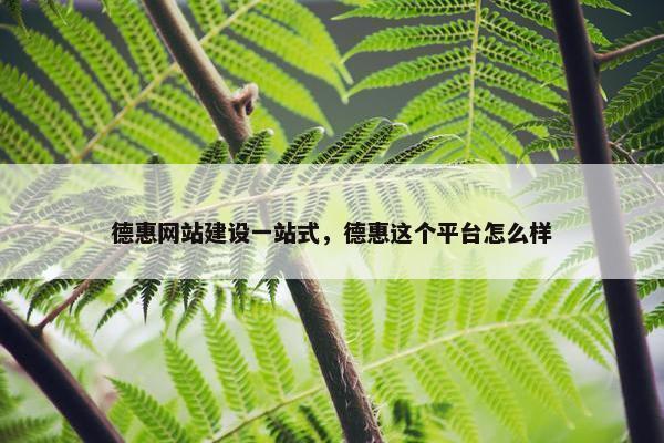 德惠网站建设一站式，德惠这个平台怎么样