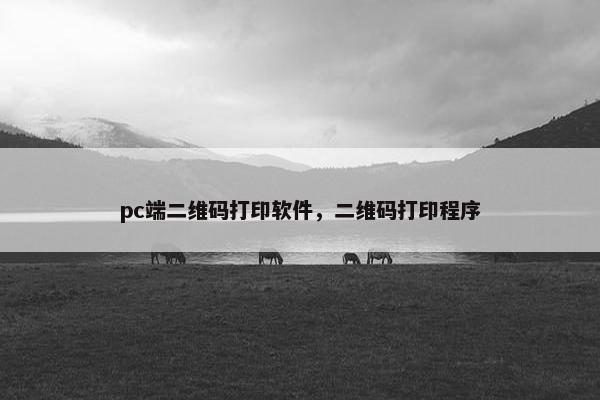 pc端二维码打印软件，二维码打印程序