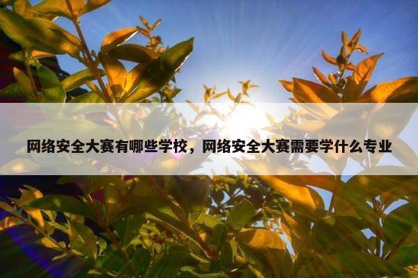 网络安全大赛有哪些学校，网络安全大赛需要学什么专业