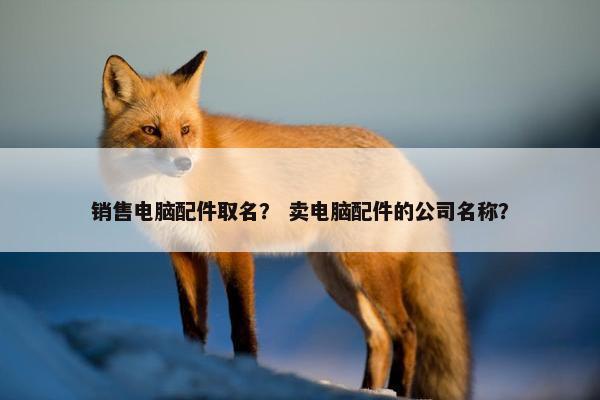 销售电脑配件取名？ 卖电脑配件的公司名称？