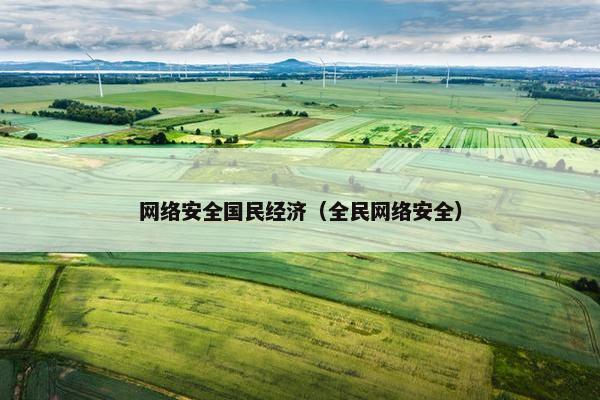 网络安全国民经济（全民网络安全）
