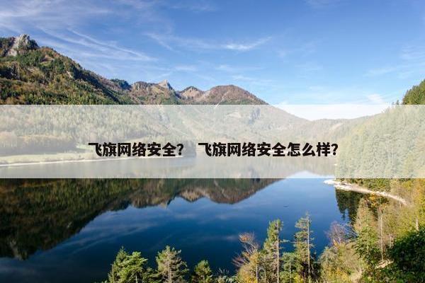 飞旗网络安全？ 飞旗网络安全怎么样？