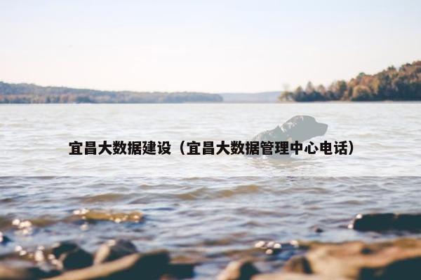 宜昌大数据建设（宜昌大数据管理中心电话）