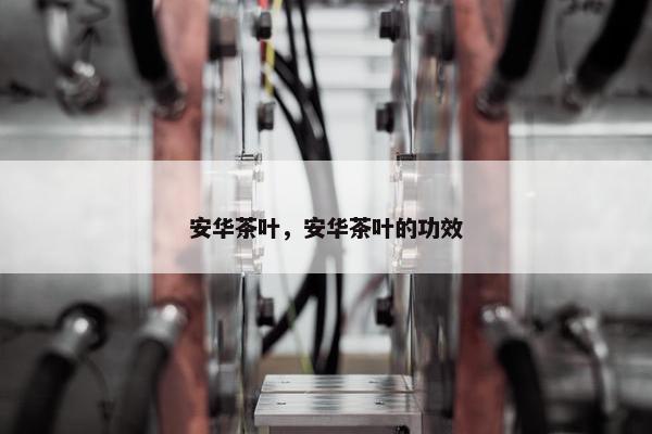 安华茶叶，安华茶叶的功效