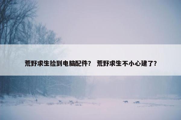 荒野求生捡到电脑配件？ 荒野求生不小心建了？