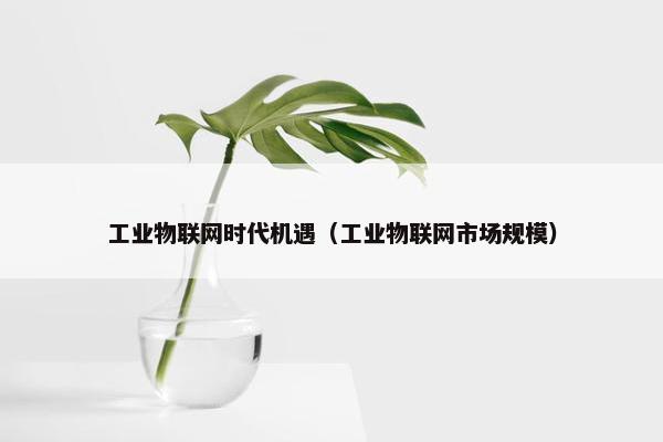 工业物联网时代机遇（工业物联网市场规模）