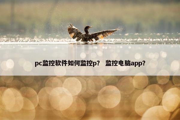 pc监控软件如何监控p？ 监控电脑app？