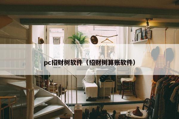 pc招财树软件（招财树算账软件）