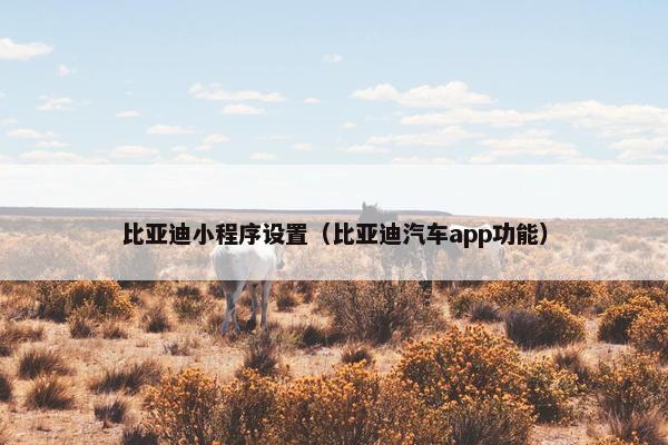 比亚迪小程序设置（比亚迪汽车app功能）
